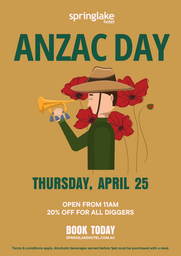 Balls Out Bingo Springlake Hotel, Springfield Lakes QLD